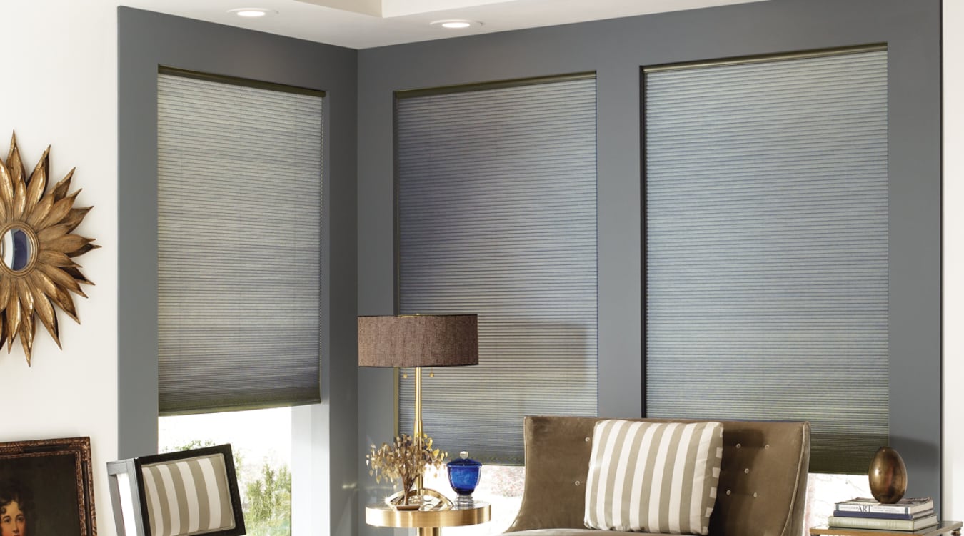 Cellular shades window treatments Raleigh